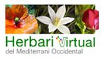 Herbari Virtual del Mediterrani Occidental