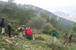 Excursions in Mallorca: Puig de Garrafa route