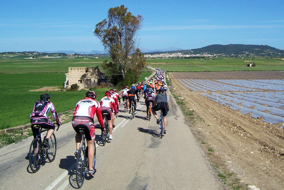 Cycling in Mallorca: Route Manacor