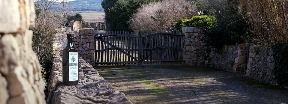 Finca Aubocassa. Mallorca.