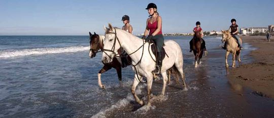 Equestrianism, an exclusive sport within everybody’s reach