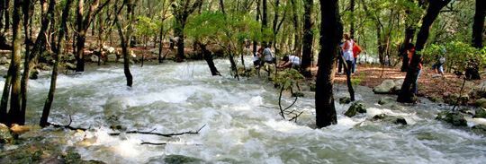 Ses Fonts Ufanes, are a singular natural phenomenon