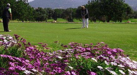 Golf auf Mallorca