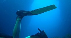 Sporting and Leisure: Scuba diving in Mallorca