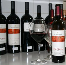 Vins-Miquel-Gelabert-3
