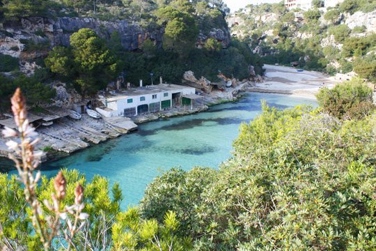 Cala Pi, a paradise to discover Cala Pi, a paradise to discover