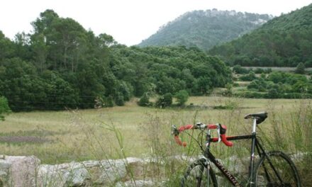 Cycling in Mallorca: Bunyola – Orient