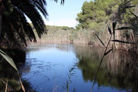 Mondragó, Naturpark, Santanyí, Mallorca