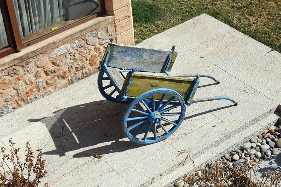 Predio Son Quint. Extra Virgin Olive Oil from Mallorca. 