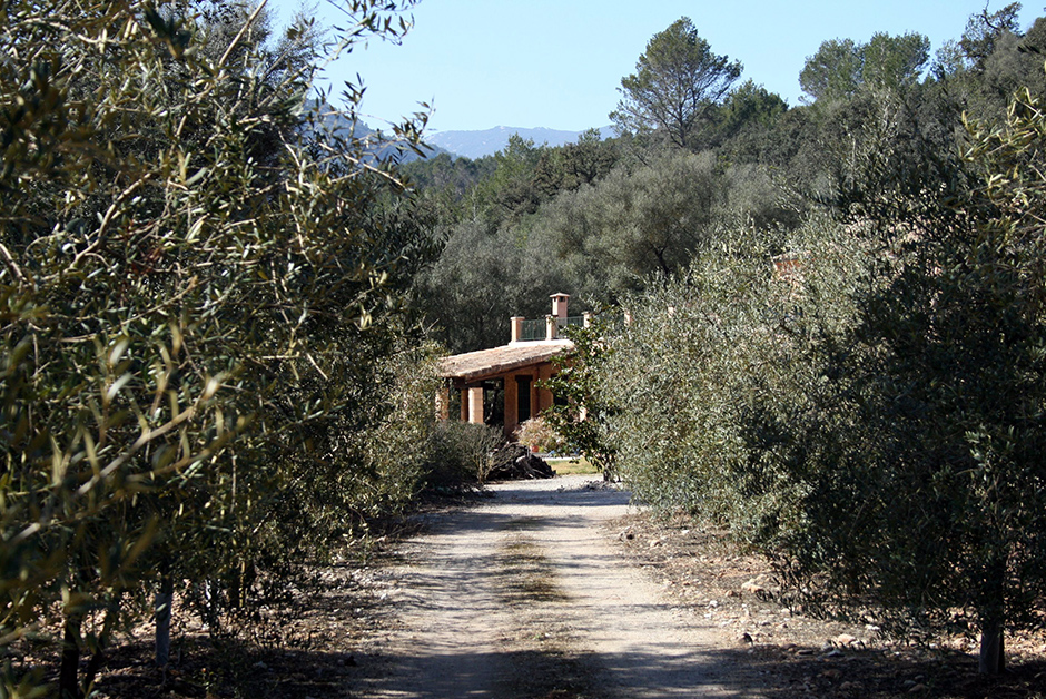 Predio Son Quint. Extra Virgin Olive Oil from Mallorca. Farmhouse.