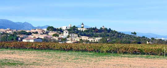 Santa Eugenia, Biniali y Ses Alqueries, un viaje al corazón del Pla de Mallorca