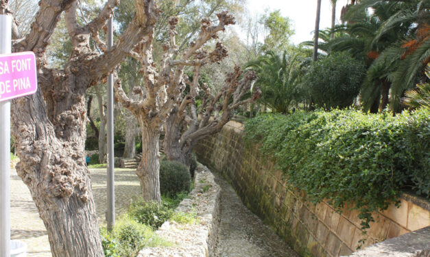 El poble de Pina, Mallorca