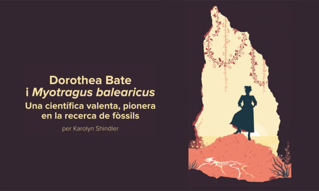 Llibre Dorothea Bate i Myotragus balearicus