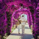 Análisis del alquiler en Baleares para «Todos los Santos» 2025