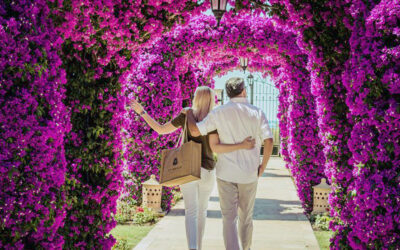 Análisis del alquiler en Baleares para «Todos los Santos» 2025