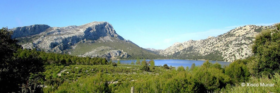 Die Stauseen Cúber und Gorg Blau am Fuße des Puig Major