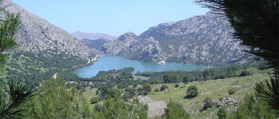 The Cúber and Gorg Blau reservoirs
