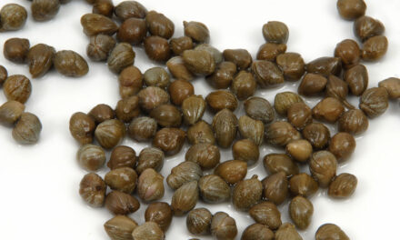 Capers, an essential ingredient in the gastronomy of the Illes