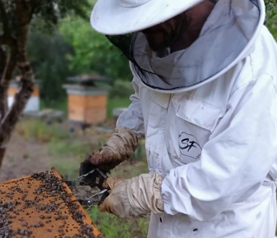 Mel Sa Font, apicultura.