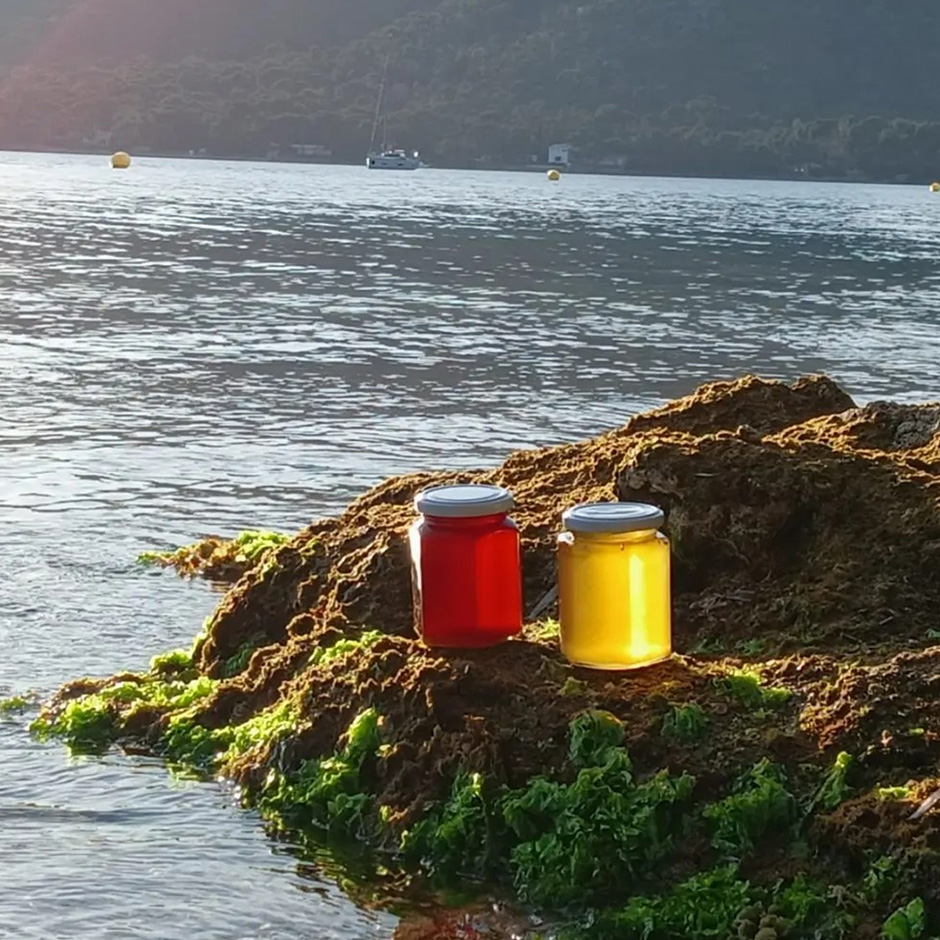 Mel Sa Font, foto en Mallorca.