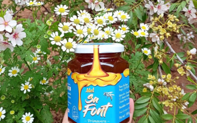 Mel Sa Font de Mallorca, la mejor miel de España 2025.