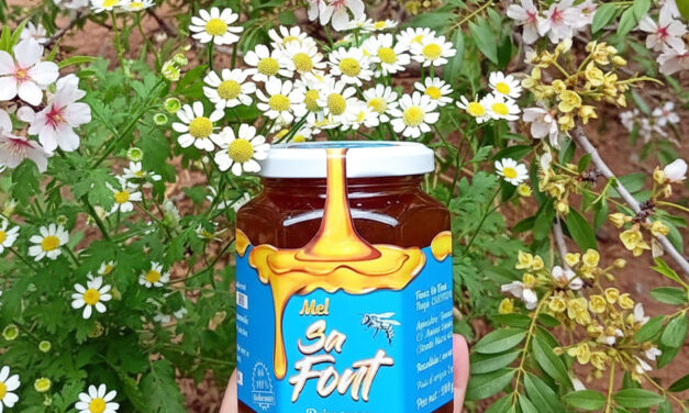 Mel Sa Font de Mallorca, la mejor miel de España 2025.