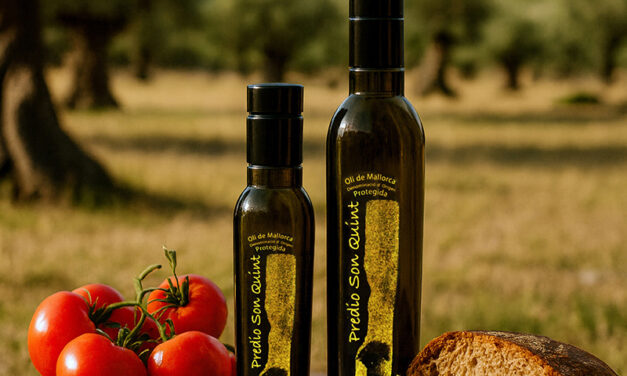 Olivenöl Predio Son Quint – das flüssige Gold der Serra de Tramuntana